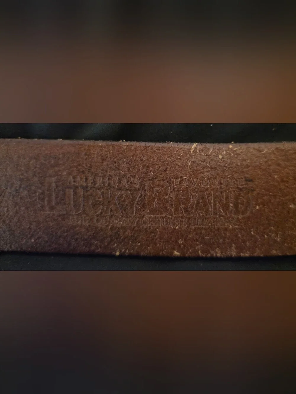 Vintage Women's Lucky Brand Leather Belt - Too Tough To Die Buckle - M